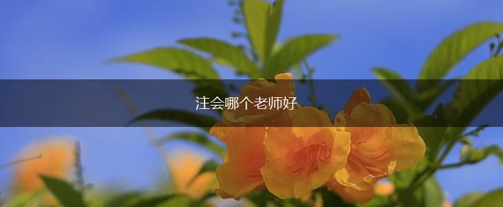 注会哪个老师好,第1张