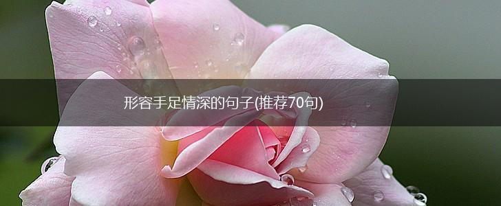 形容手足情深的句子(推荐70句),第1张