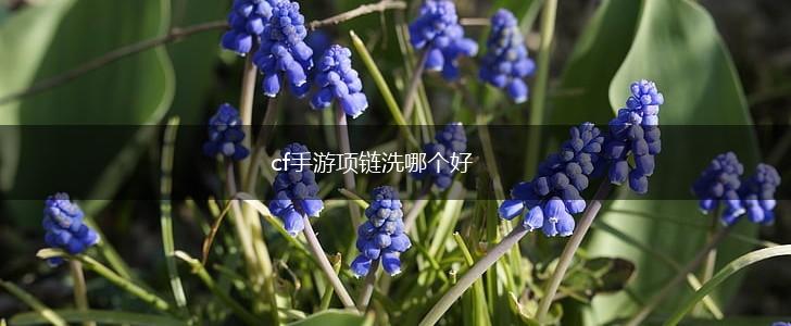 cf手游项链洗哪个好,第1张