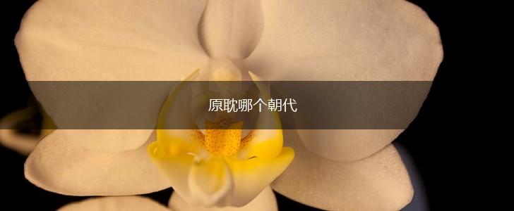 原耽哪个朝代,第1张