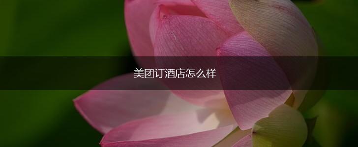 美团订酒店怎么样,第1张