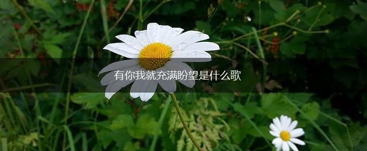 有你我就充满盼望是什么歌,第1张
