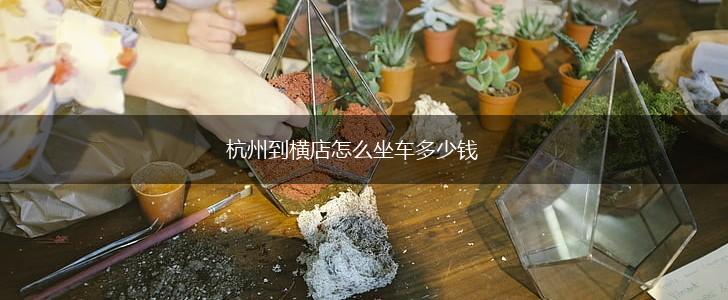 杭州到横店怎么坐车多少钱,第1张