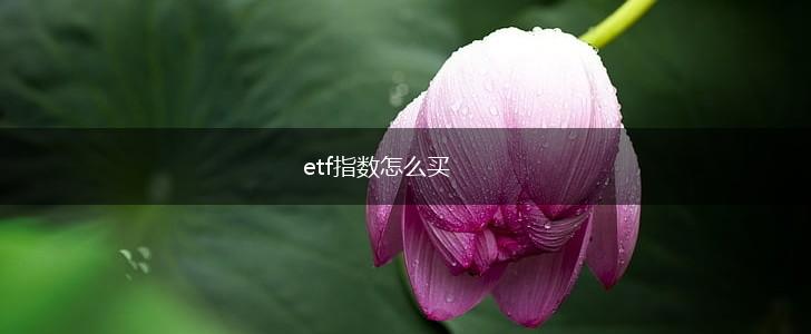 etf指数怎么买,第1张