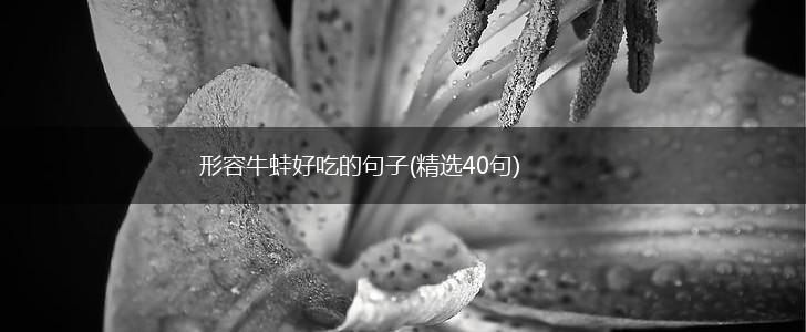 形容牛蛙好吃的句子(精选40句),第1张