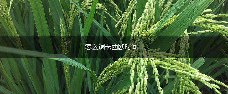 怎么调卡西欧时间,第1张