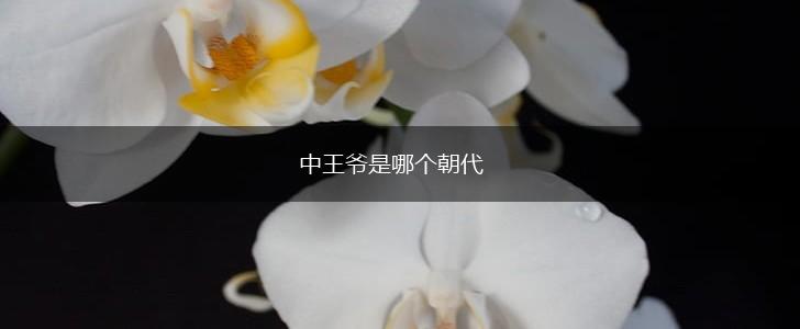 中王爷是哪个朝代,第1张