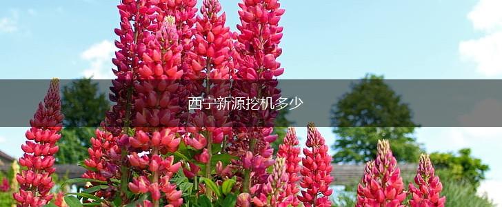 西宁新源挖机多少,第1张