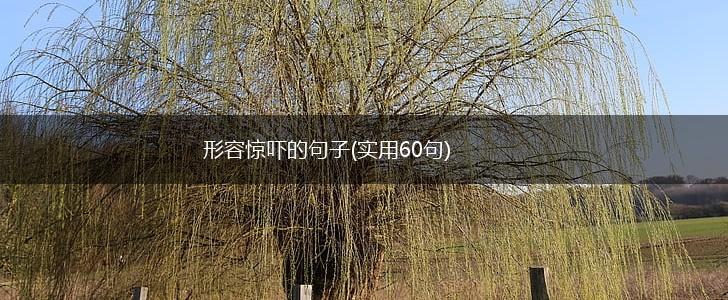 形容惊吓的句子(实用60句),第1张