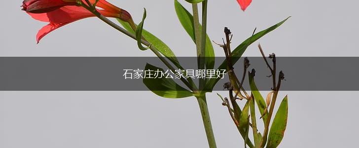 石家庄办公家具哪里好,第1张