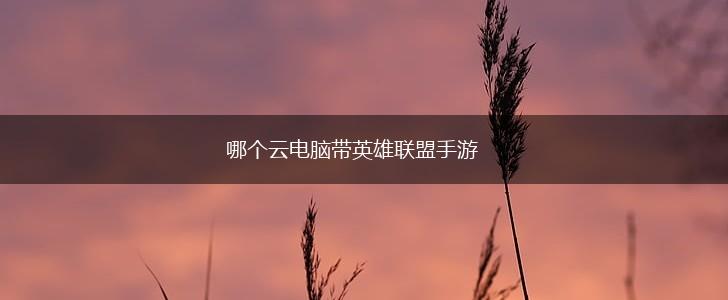 哪个云电脑带英雄联盟手游,第1张