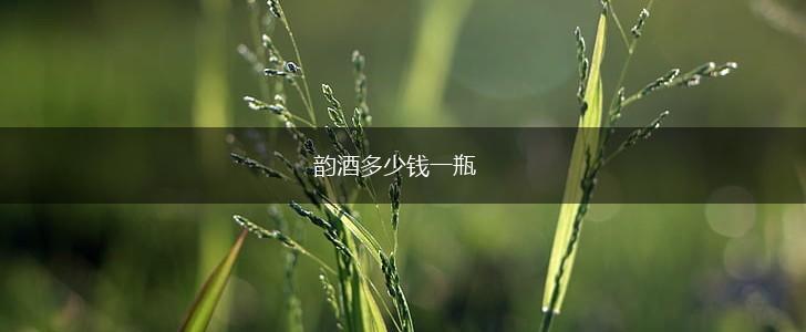 韵酒多少钱一瓶,第1张
