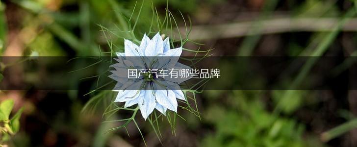 国产汽车有哪些品牌,第1张