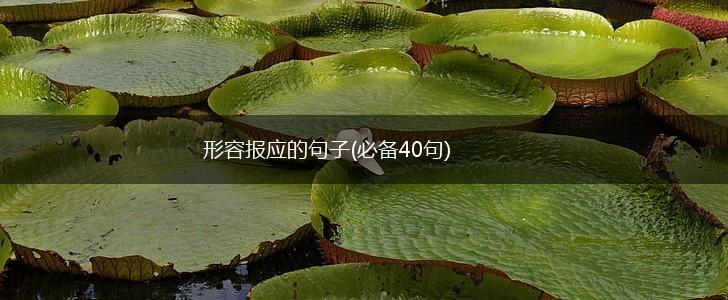 形容报应的句子(必备40句),第1张