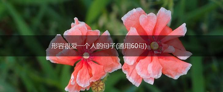 形容很爱一个人的句子(通用60句),第1张