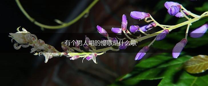 有个男人唱的慢歌是什么歌,第1张