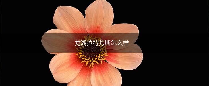 龙湖拉特芳斯怎么样,第1张
