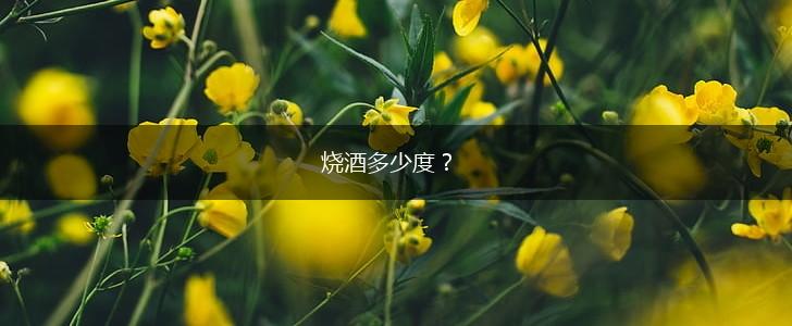 烧酒多少度？,第1张