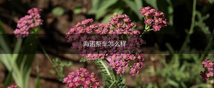 海诺泵车怎么样,第1张