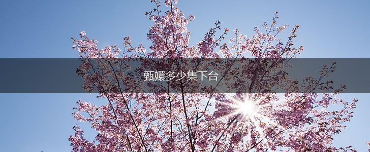 甄嬛多少集下台,第1张