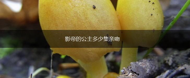 影帝的公主多少集亲吻,第1张