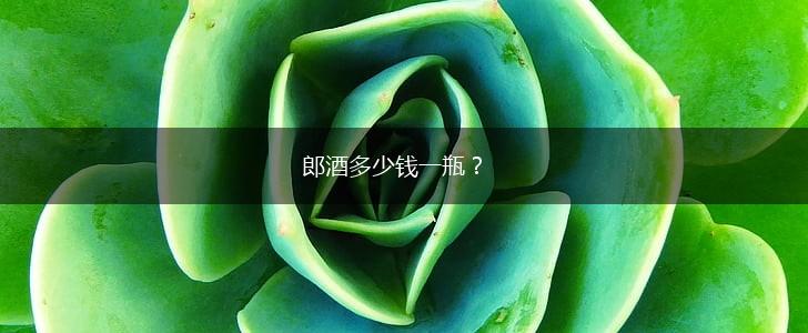 郎酒多少钱一瓶？,第1张