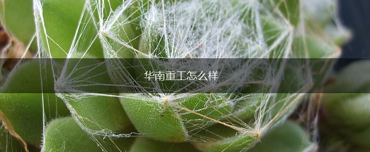 华南重工怎么样,第1张