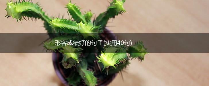 形容成绩好的句子(实用40句),第1张