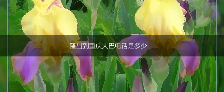 隆昌到重庆大巴电话是多少,第1张