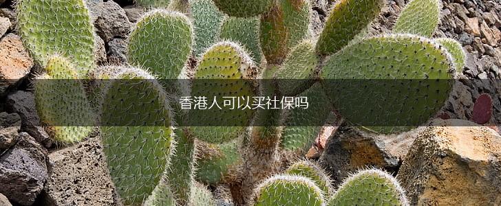 香港人可以买社保吗,第1张