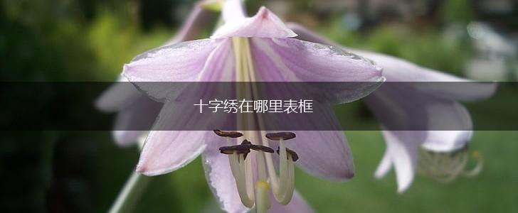十字绣在哪里表框,第1张