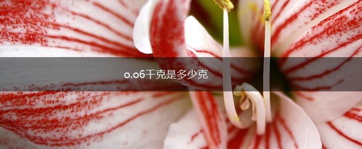 o.o6千克是多少克,第1张