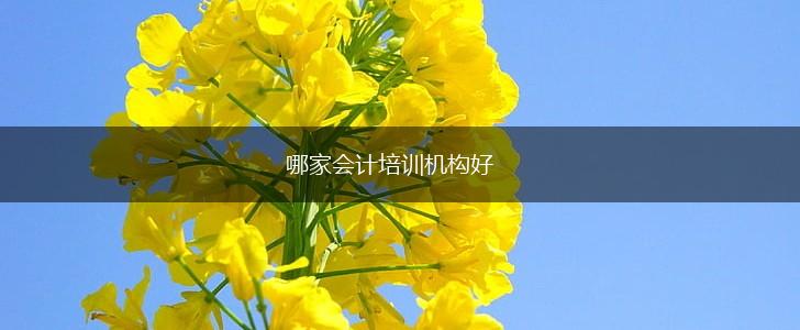 哪家会计培训机构好,第1张