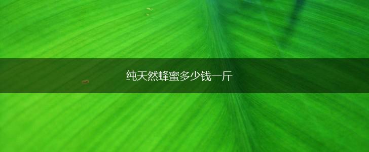 纯天然蜂蜜多少钱一斤,第1张