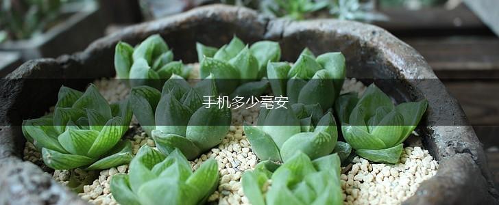 手机多少毫安,第1张