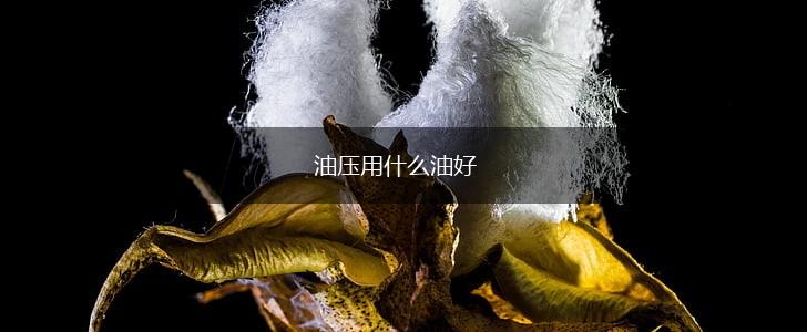 油压用什么油好,第1张