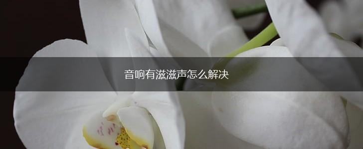 音响有滋滋声怎么解决,第1张
