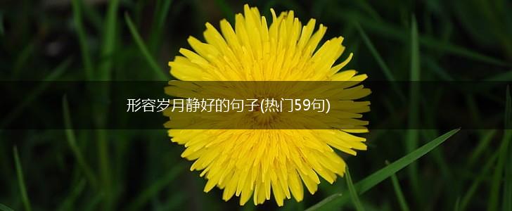 形容岁月静好的句子(热门59句),第1张