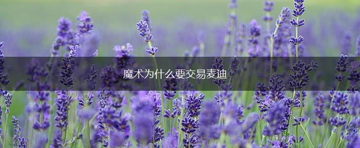 魔术为什么要交易麦迪,第1张