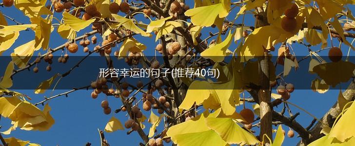 形容幸运的句子(推荐40句),第1张