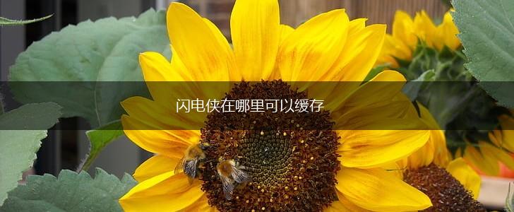 闪电侠在哪里可以缓存,第1张