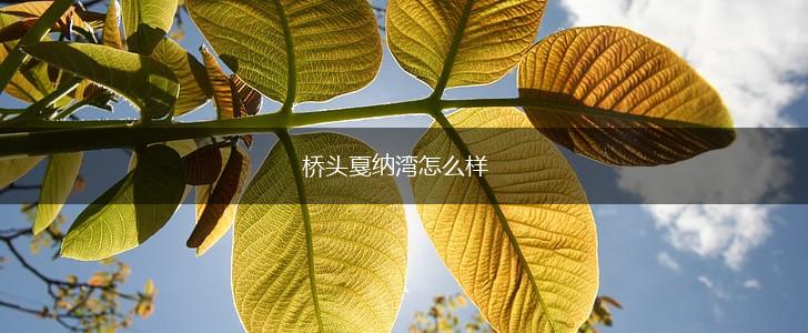 桥头戛纳湾怎么样,第1张