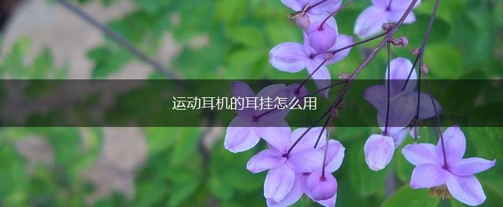 运动耳机的耳挂怎么用,第1张