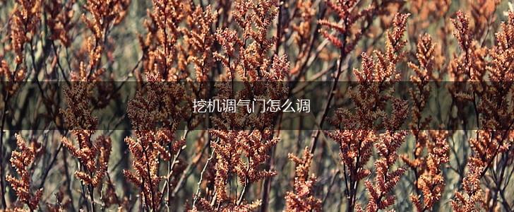 挖机调气门怎么调,第1张