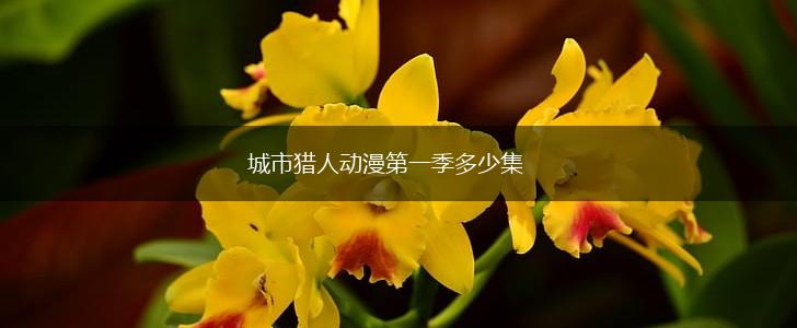 城市猎人动漫第一季多少集,第1张