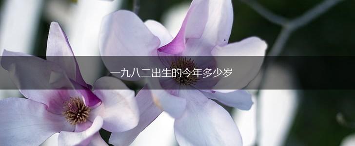 一九八二出生的今年多少岁,第1张