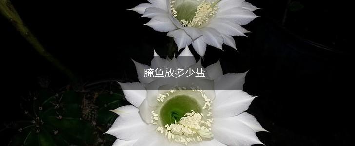 腌鱼放多少盐,第1张