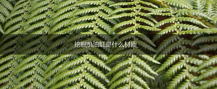 挖掘机油缸是什么材质,第1张