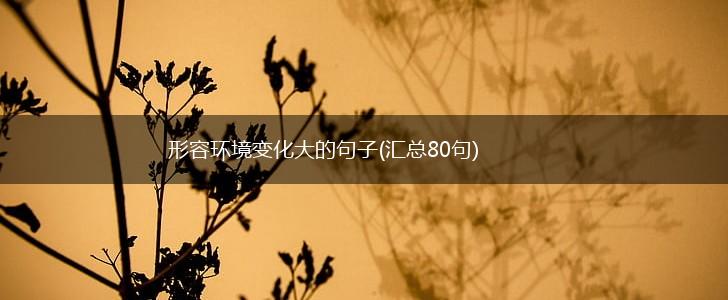 形容环境变化大的句子(汇总80句),第1张