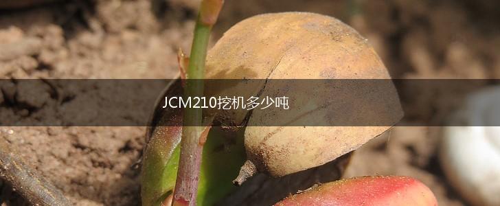 JCM210挖机多少吨,第1张